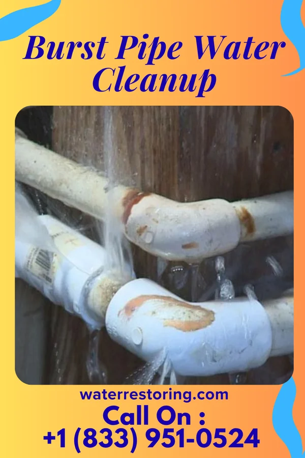 Burst Pipe Water Cleanup in Bedford, VA