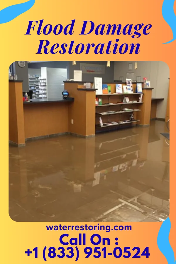 Flood Damage Restoration in Bedford, VA