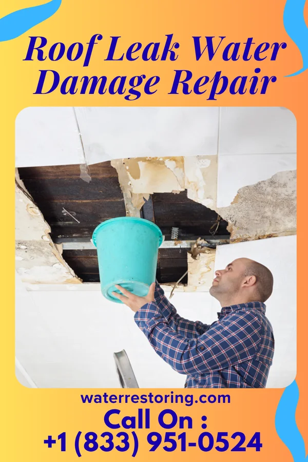 Roof Leak Water Damage Repair in Bedford, VA